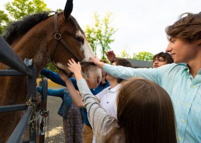 People petting the horse