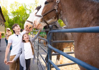 People petting horse