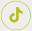 TikTok icon